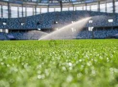 罗感叹,岁身价达,亿欧,神殿娱乐官方入口,神殿娱乐入口,神殿娱乐共享联赛,神殿娱乐官方网站,神殿娱乐官方网站