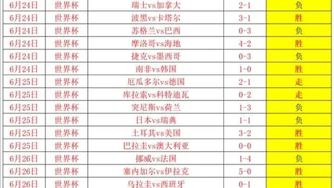 新西篮赛果解析：惠灵顿圣徒对尼尔逊巨人 12中20精彩瞬间回顾