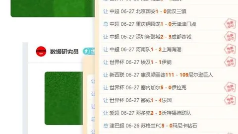 德国队半场0-1不敌巴拉圭，关键战局